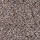 Horizon Carpet: Earthly Details I Dried Peat